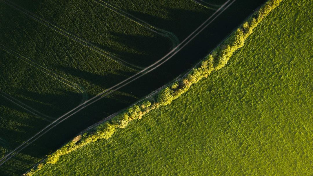 A lush green landscape shown from above.
