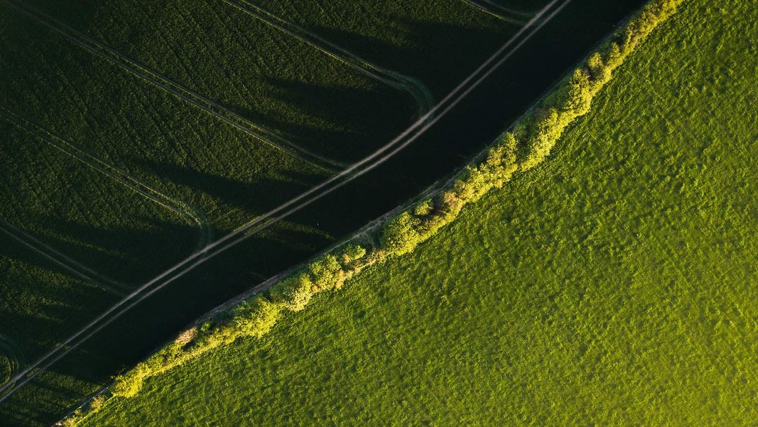  A lush green landscape shown from above.