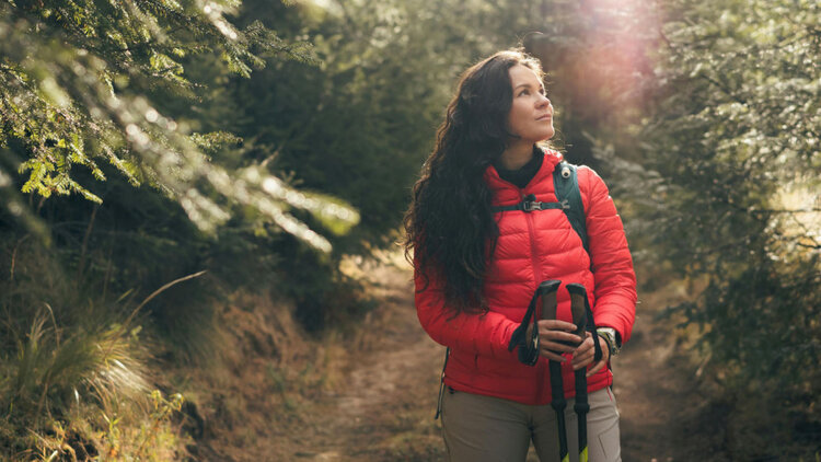 Hiker standing on a forest trail.