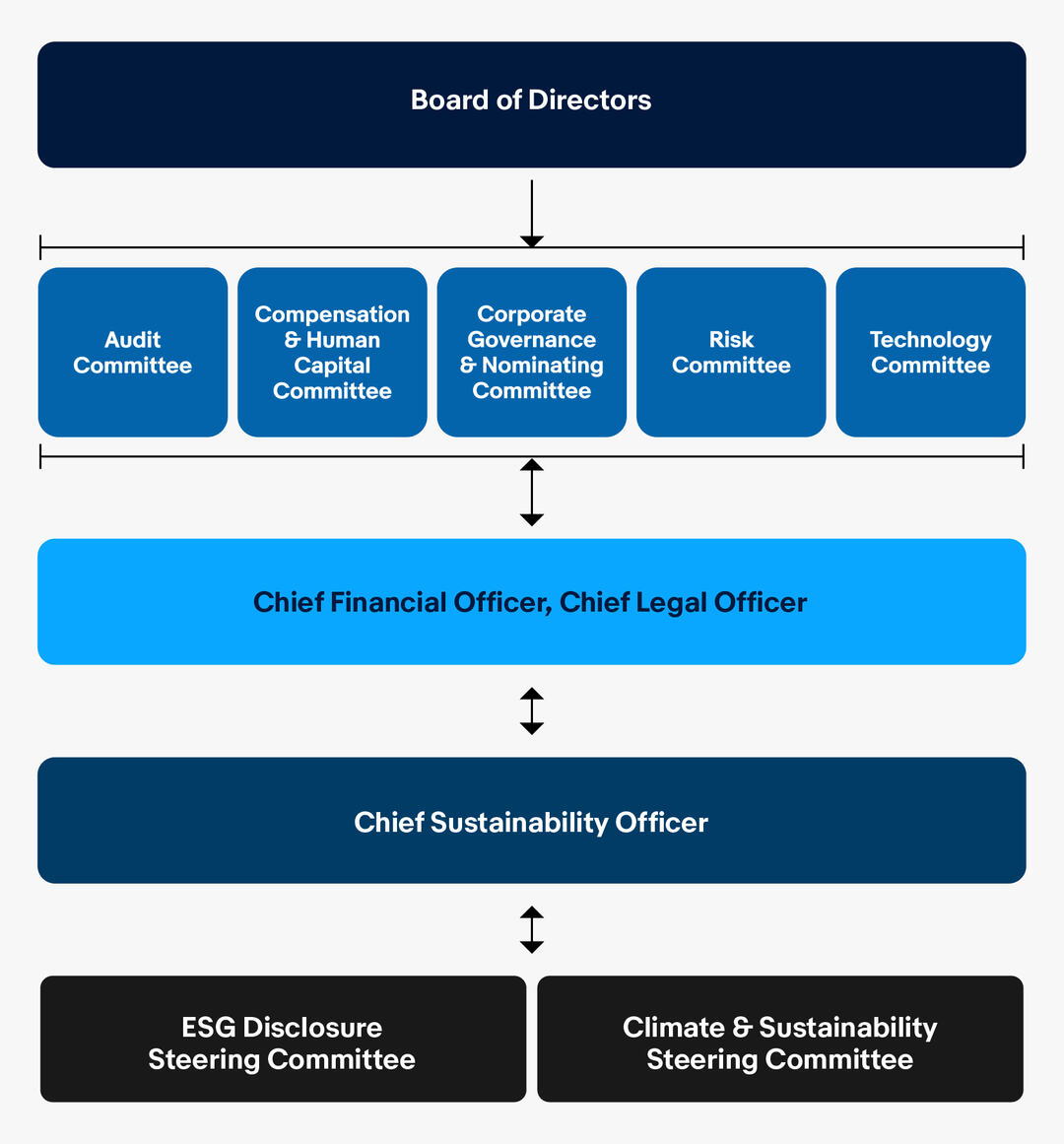 Our Governance Model chart. A detailed description of this chart can be found below.