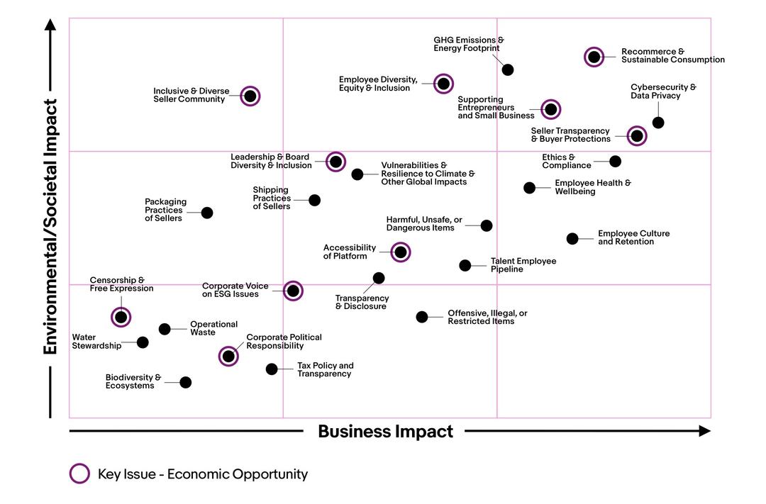 Sustainability Materiality Matrix, Economic Opportunity chart. A detailed description of this chart can be found below.