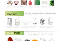 ebay.fr_news_-_e-observatoire_des_tendances_dachat_et_de_recherche_des_francais_home_and_garden