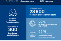 Infographie-Vendeurs-Francais.pdf